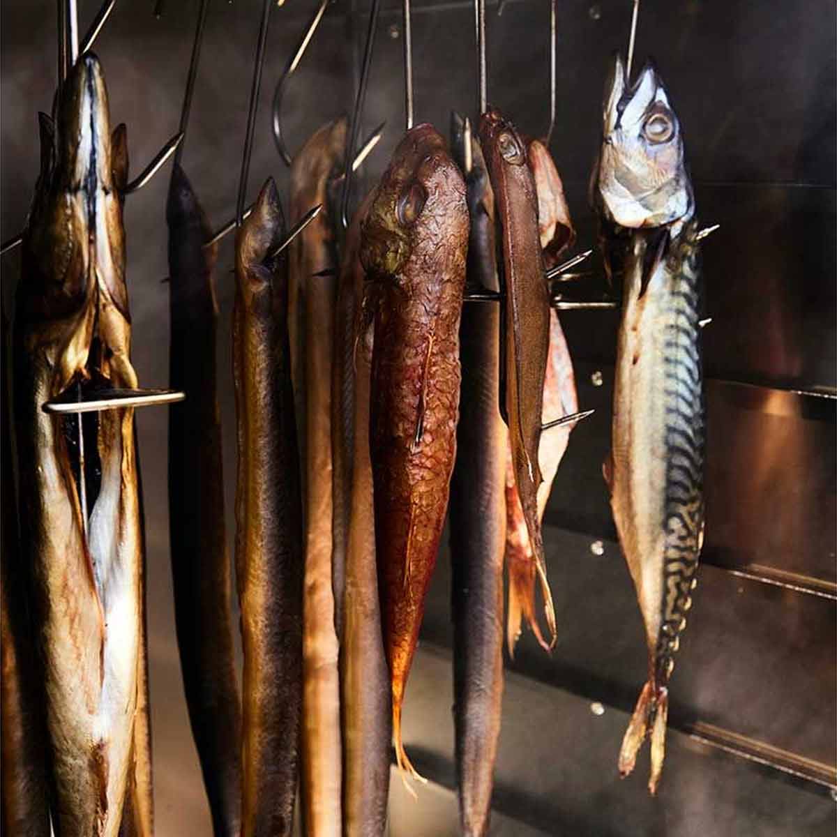 Borniak BBQ Smoker WiFi BBDSW-150, Fische Räuchern im Borniak Räucherofen