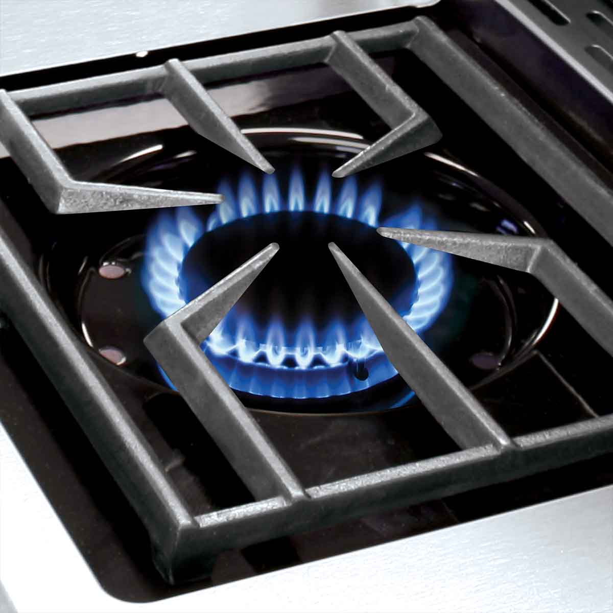 Broil King Regal 490