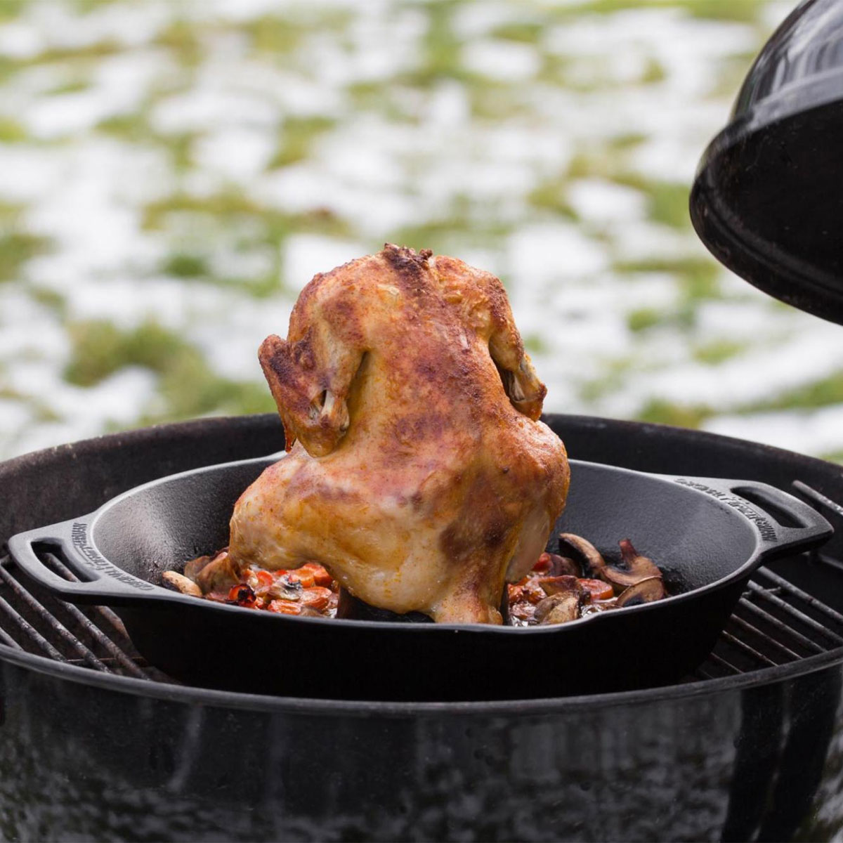 P Geflgelbrter cf30 P Geflgelbrter cf30