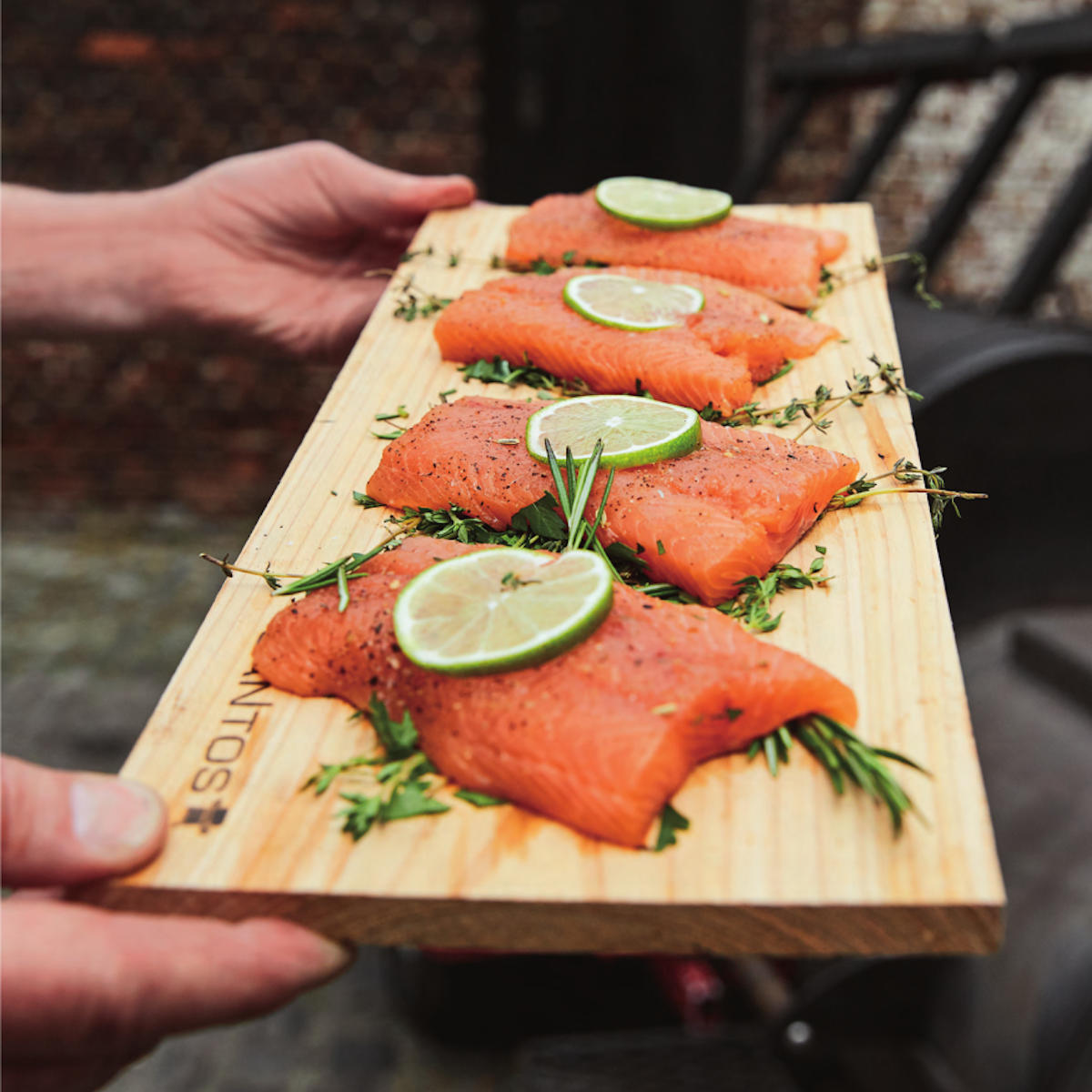 SANTOS DAS GRILLBUCH 100 Rezepte der Santos Grillmeister Fisch Grillrezepte SANTOS DAS GRILLBUCH 100 Rezepte der Santos Grillmeister Fisch Grillrezepte