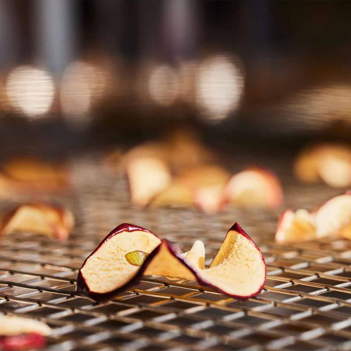 Borniak Feinmaschiger Edelstahl Gitterrost für 150er Serie Räucheröfen