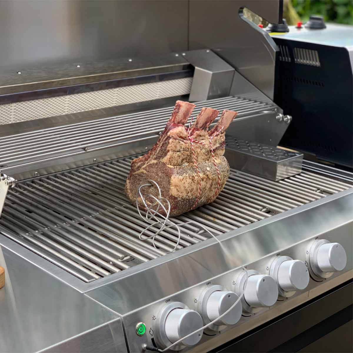 Otto Wilde Kerntemperaturfühler für G32 | 4er-Set Otto Wilde Kerntemperaturfühler für G32 | 4er-Set