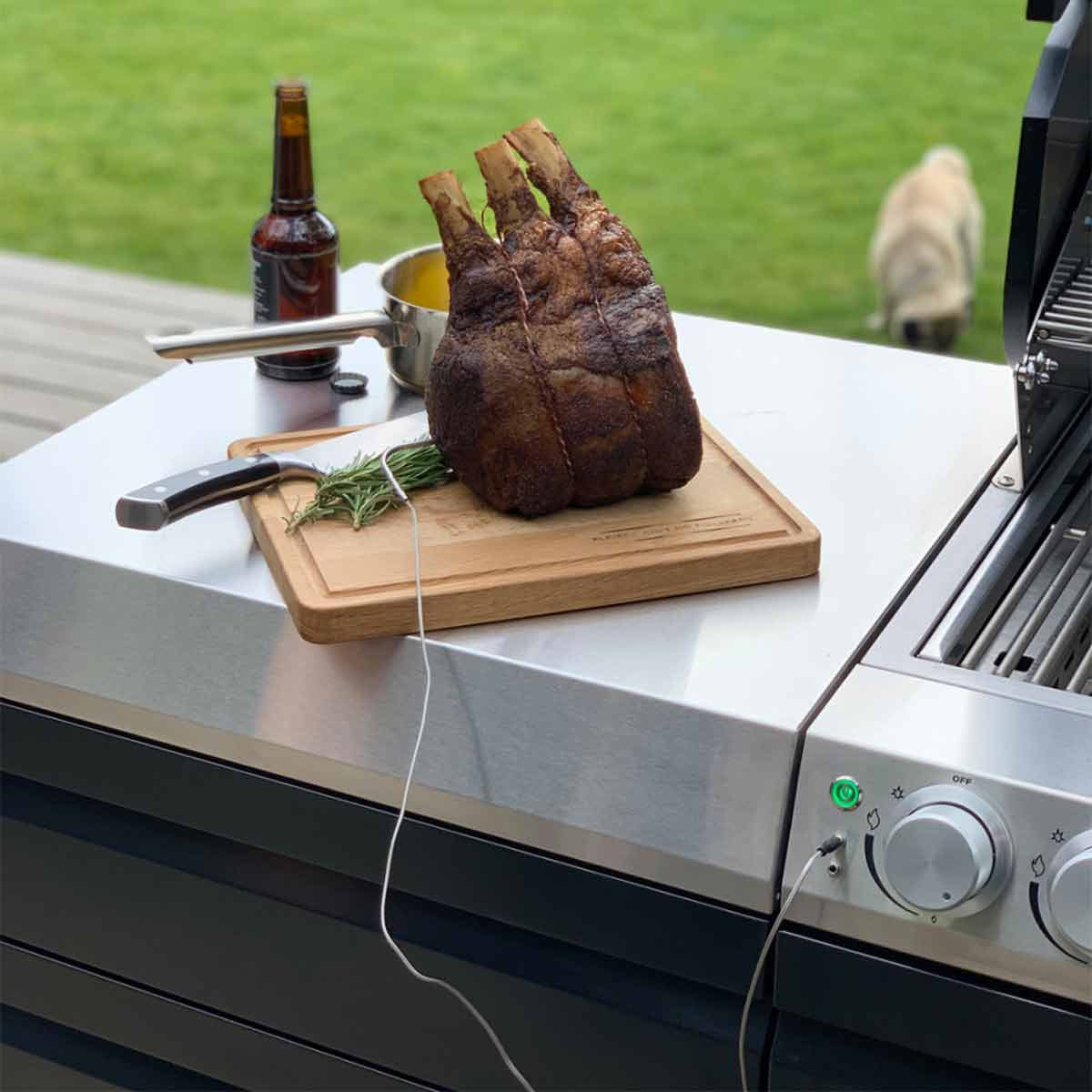 Otto Wilde Kerntemperaturfühler für G32 | 4er-Set Otto Wilde Kerntemperaturfühler für G32 | 4er-Set