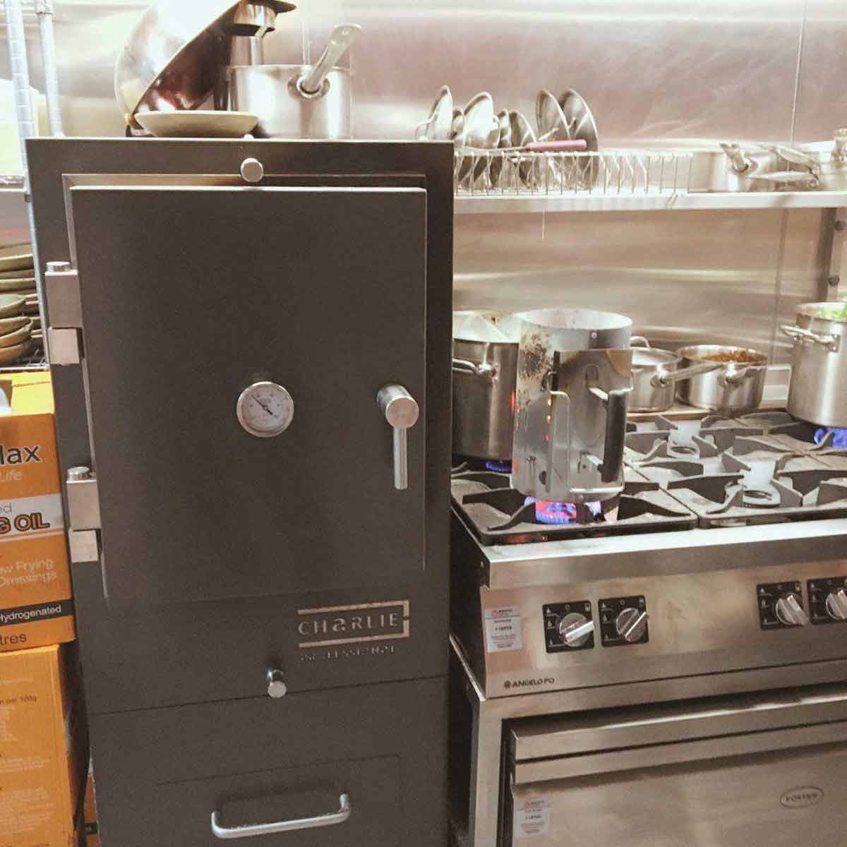 Professional Charlie Charcoal Oven, Porcini